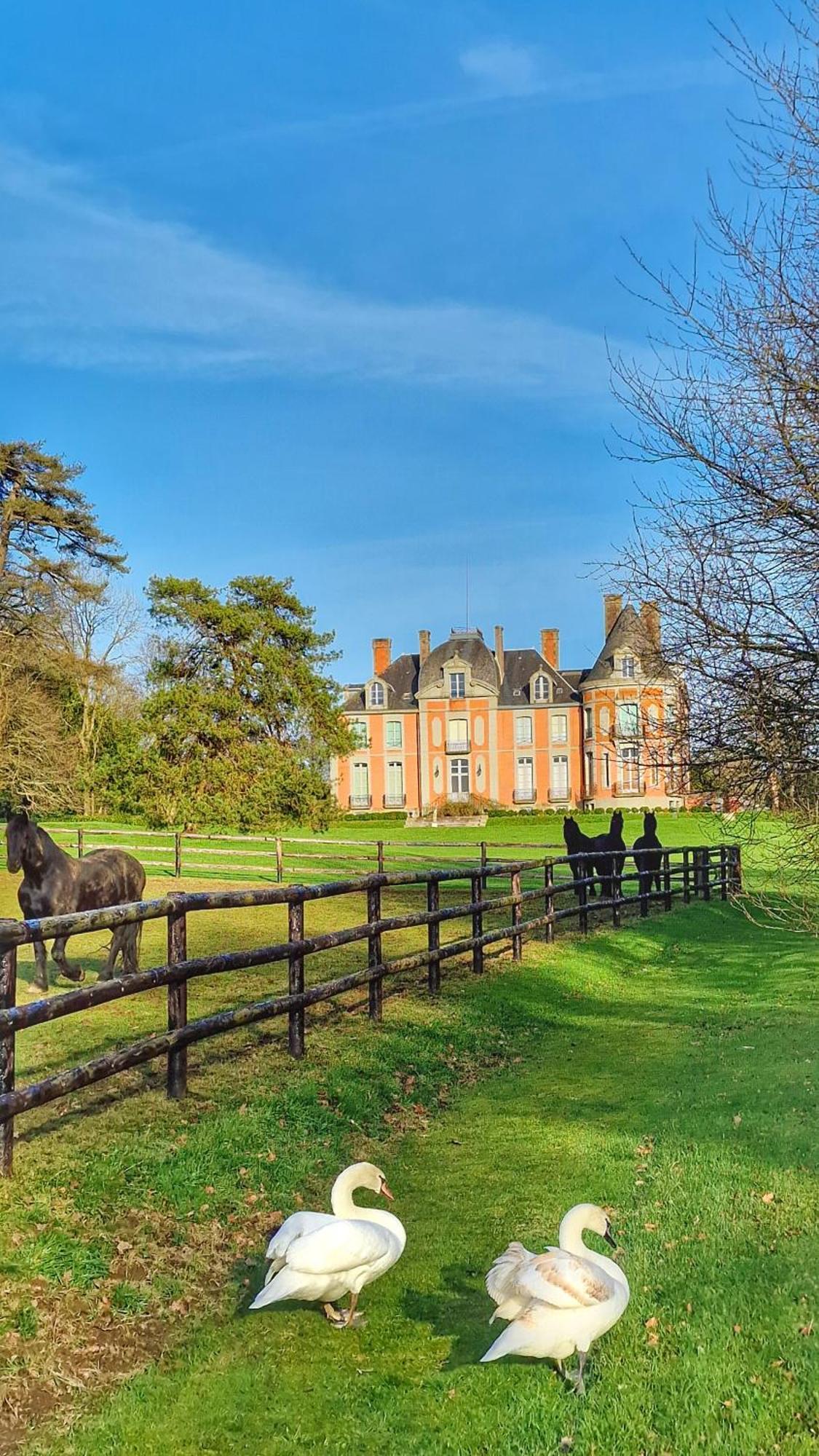 Chateau De Chantore Bacilly Exterior photo