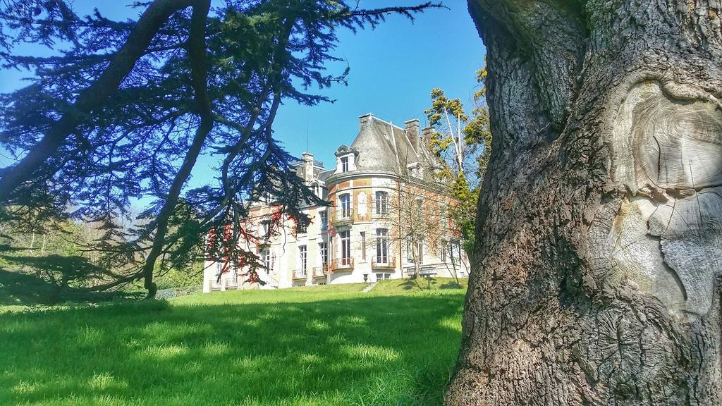 Chateau De Chantore Bacilly Exterior photo